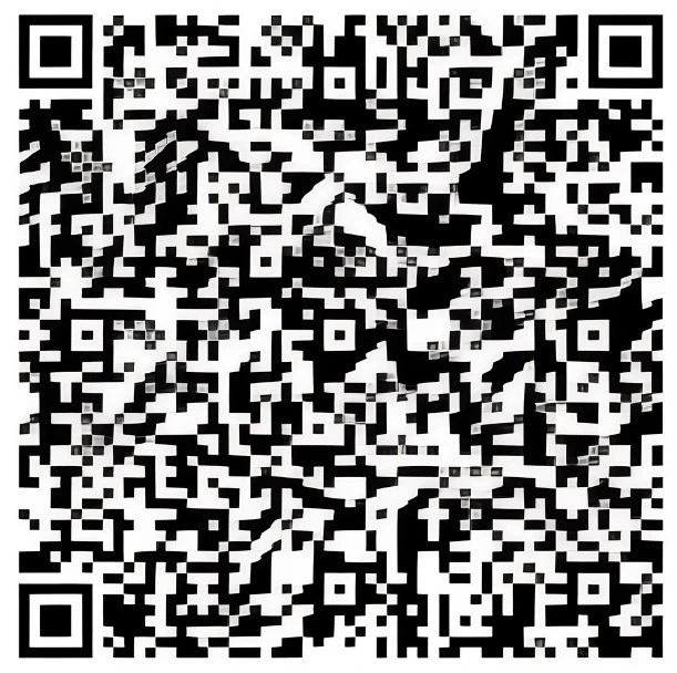 QR Code 1